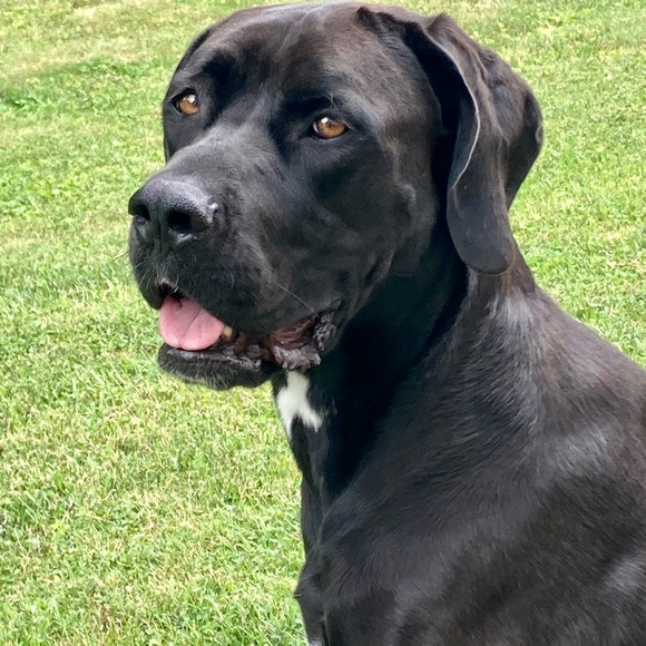 Meet your Posher, Jon - Picture 4 of 11